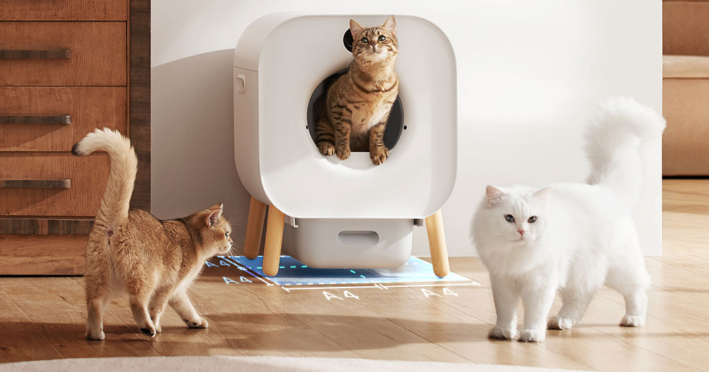 用AI把宠物主变成每月付费会员跨境电商学什么-宠物电商